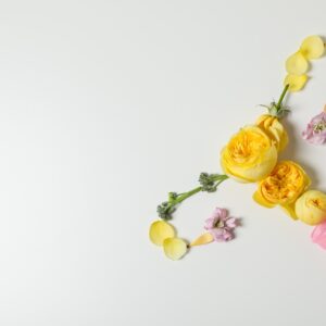 hysterectomy, healthcare, uterus removal, women health, medical, beautiful flowers, health, flower wallpaper, flowers, nature, flower background, uterus