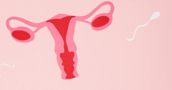 Abstract representation of sperms approaching an ovum, symbolizing fertilization on a pink background.