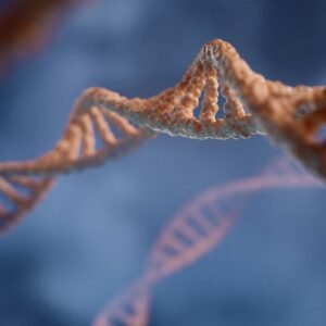 BRCA Gene Testing Bundle