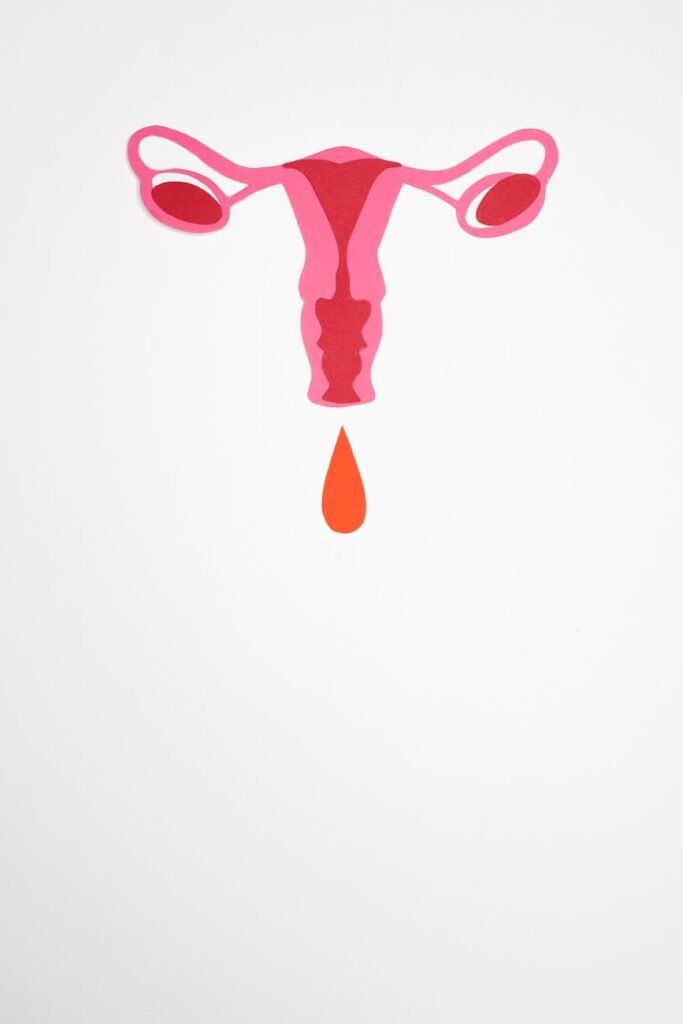 illustration of menstruation